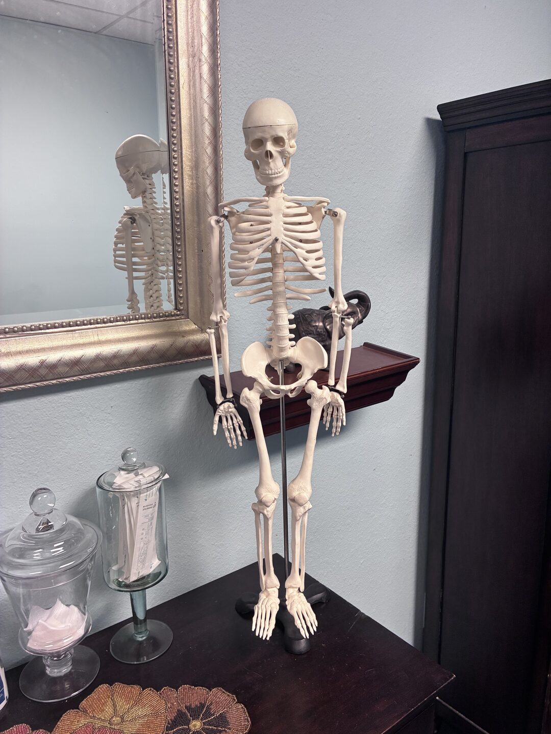 A teaching skeleton in an exam room